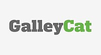 galleycat 640x480
