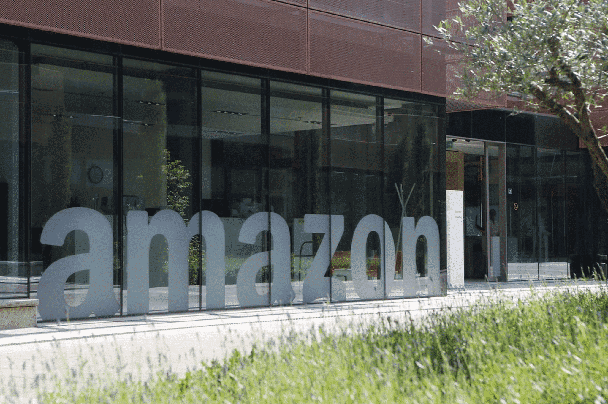 amazon