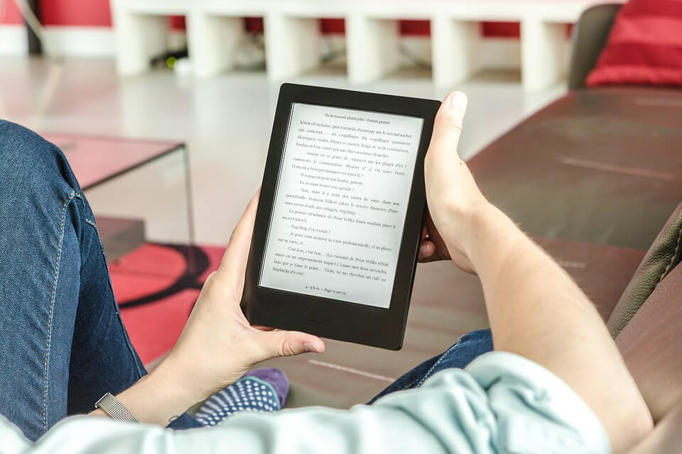e book sales in germany