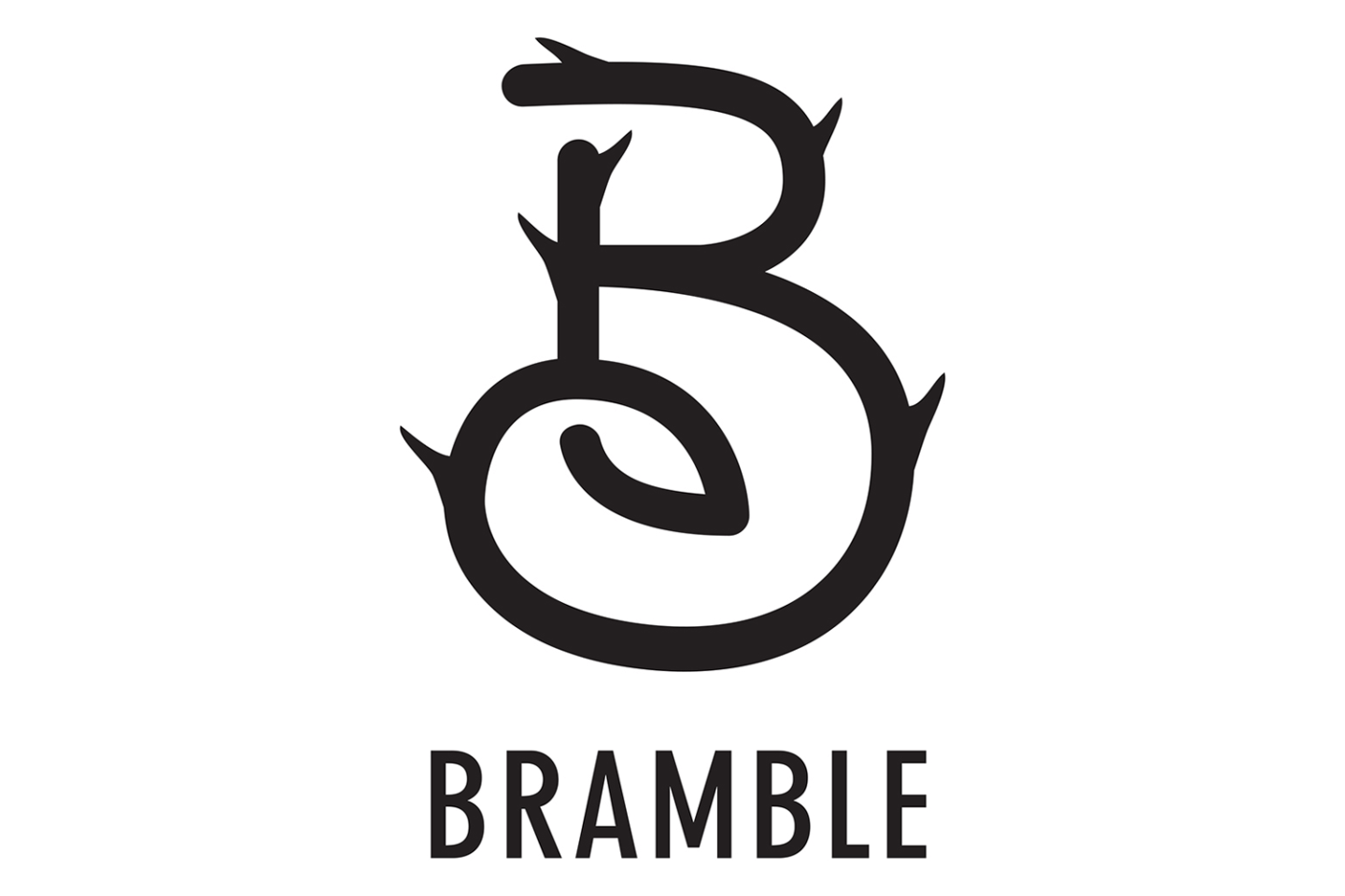Bramble Logo full width.png