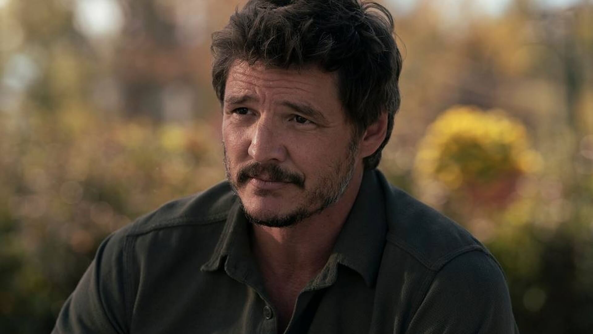 pedro