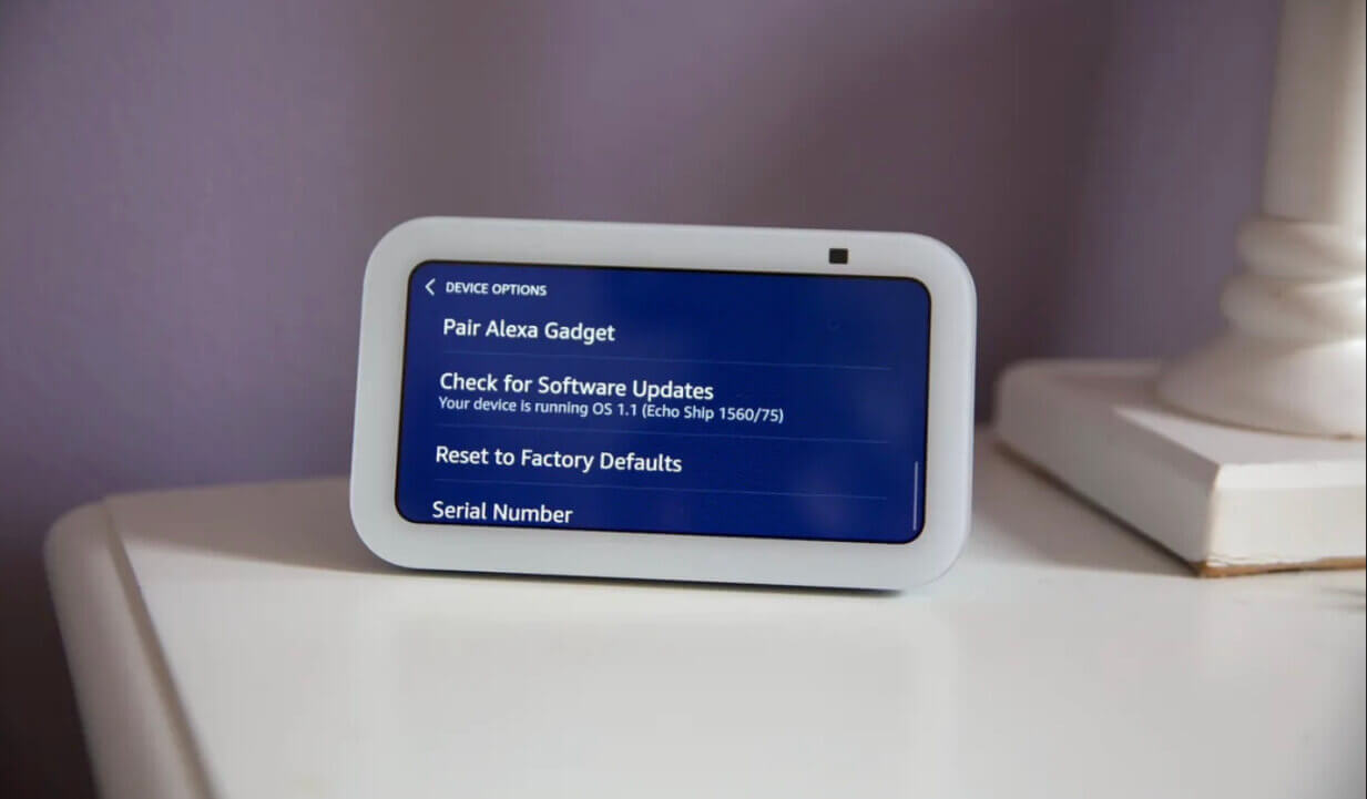echo show running vega os