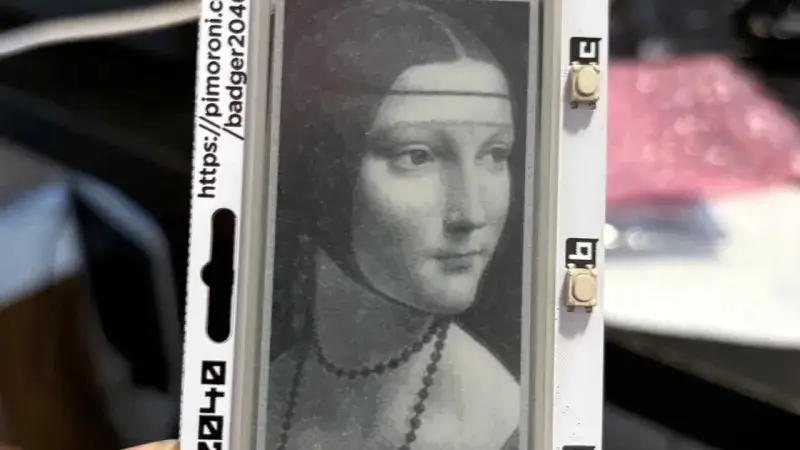 badger2040 dama greyscale featured copy